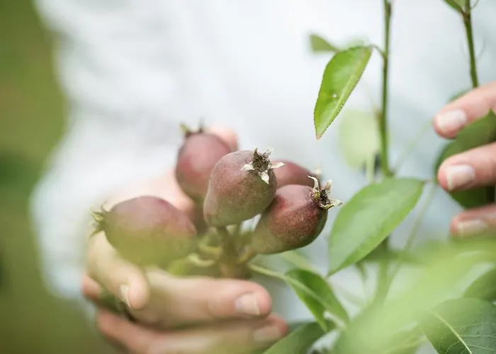 Campo de lujo Eco Farm 'de Waeldernis' *