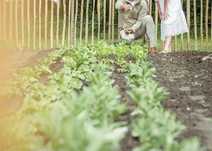 Eco Farm 'de Waeldernis'