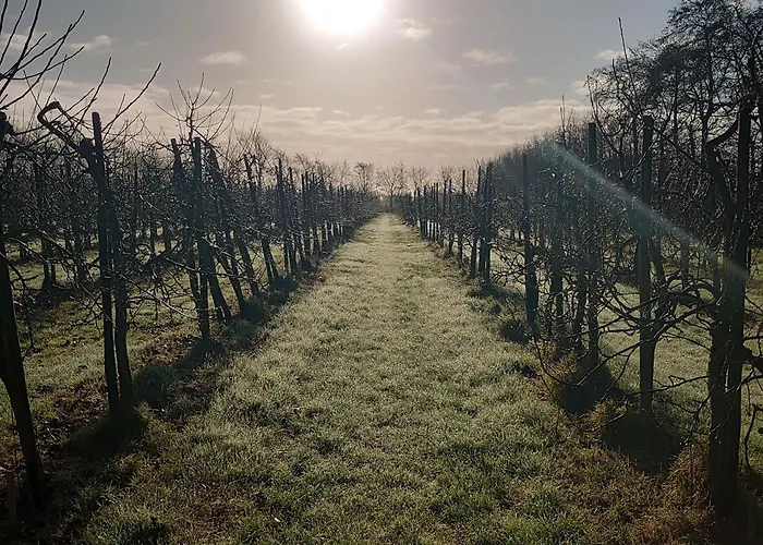 Eco Farm 'de Waeldernis' De Waal