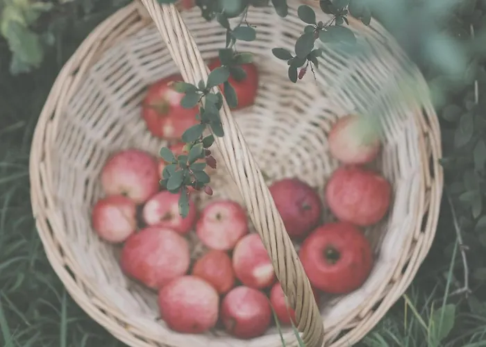 Eco Farm 'de Waeldernis' * De Waal