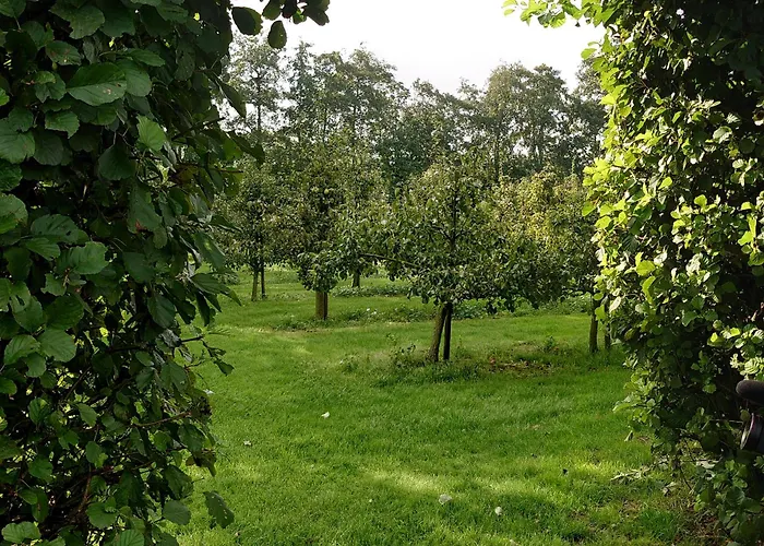 Campo de lujo Eco Farm 'de Waeldernis' *