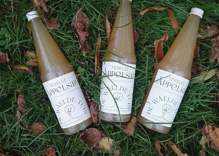 Campo de lujo Eco Farm 'de Waeldernis' De Waal