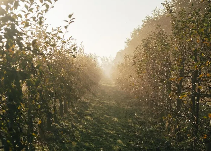 Eco Farm 'de Waeldernis' * De Waal
