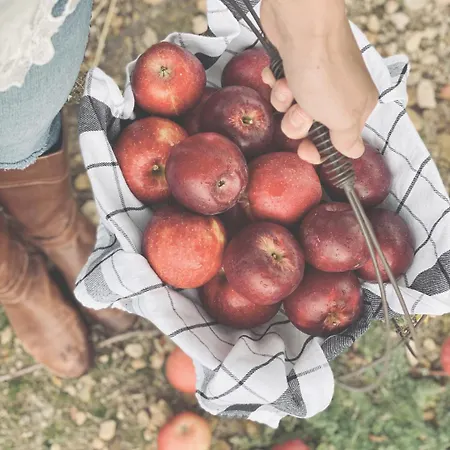 Eco Farm 'de Waeldernis' * De Waal