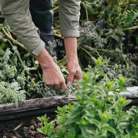 Eco Farm 'de Waeldernis' *