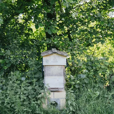 Eco Farm 'de Waeldernis' Luxusní stan