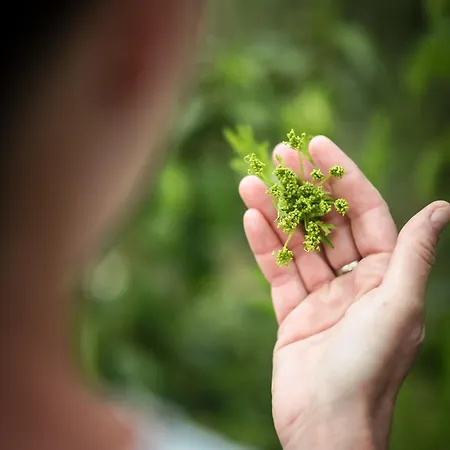 Eco Farm 'de Waeldernis'